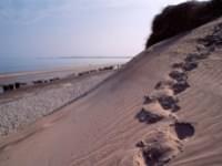 RSPB Reserve at Culbin Sands